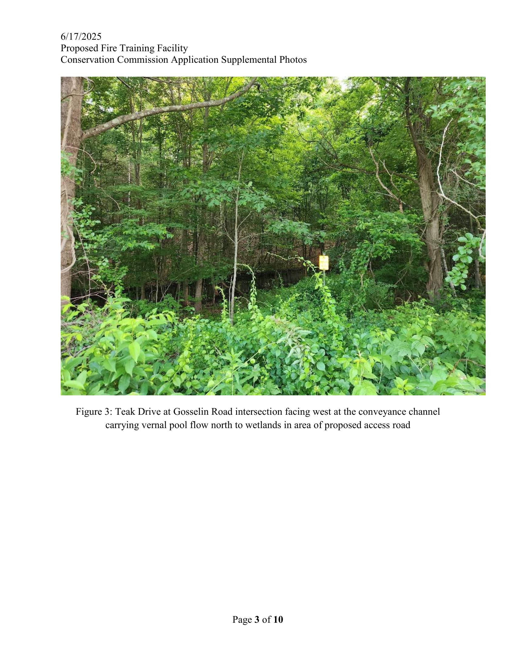 Conveyance channel carrying vernal pool flow north to wetlands in the area of the proposed access road