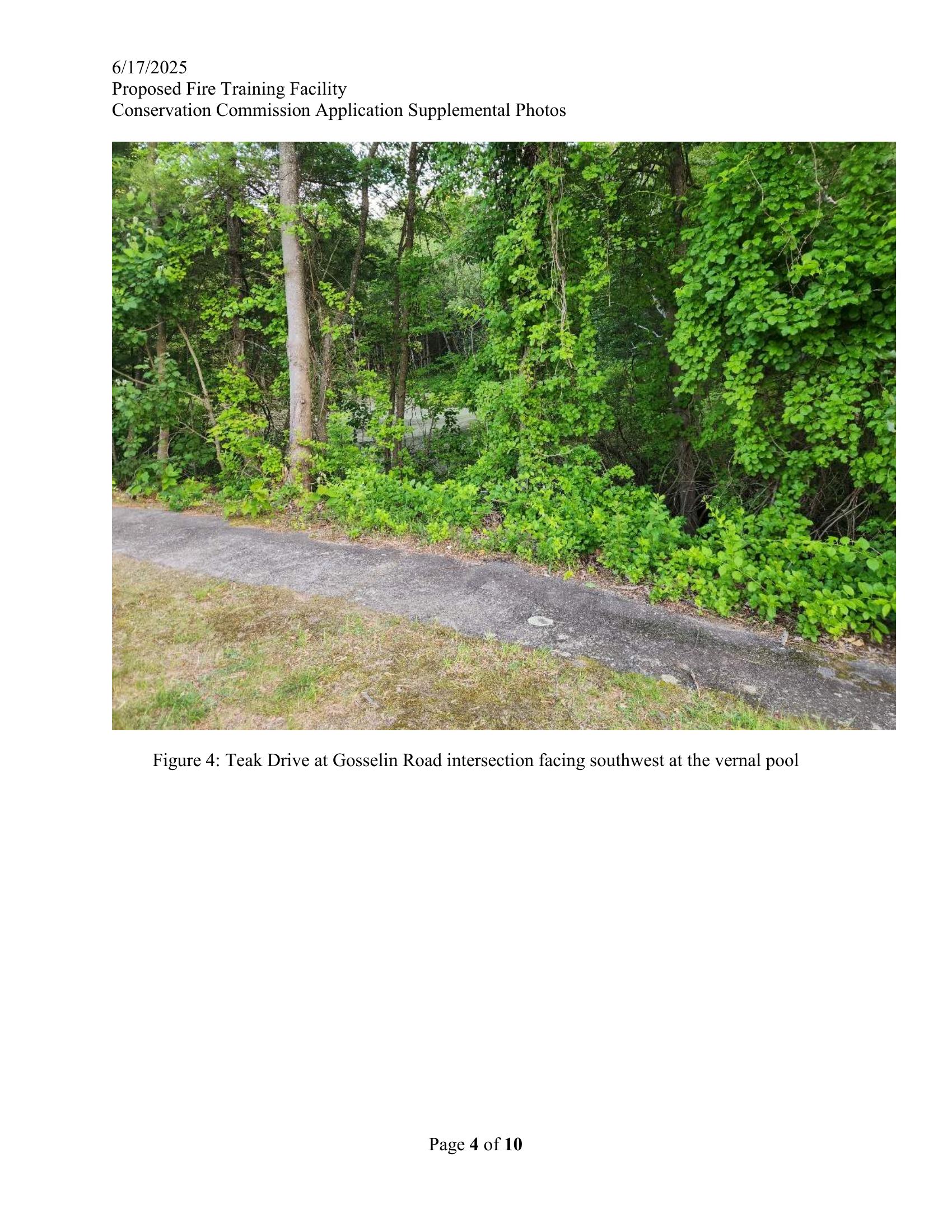 View from Teak Drive/Gosselin Road intersection facing southwest at the vernal pool — home to fairy shrimp and other indicator species